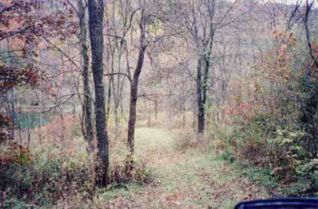 5060 South Blanding Road Hanover, IL 61041 - Photo 6 of 9 a backyard of a house with lots of green space
