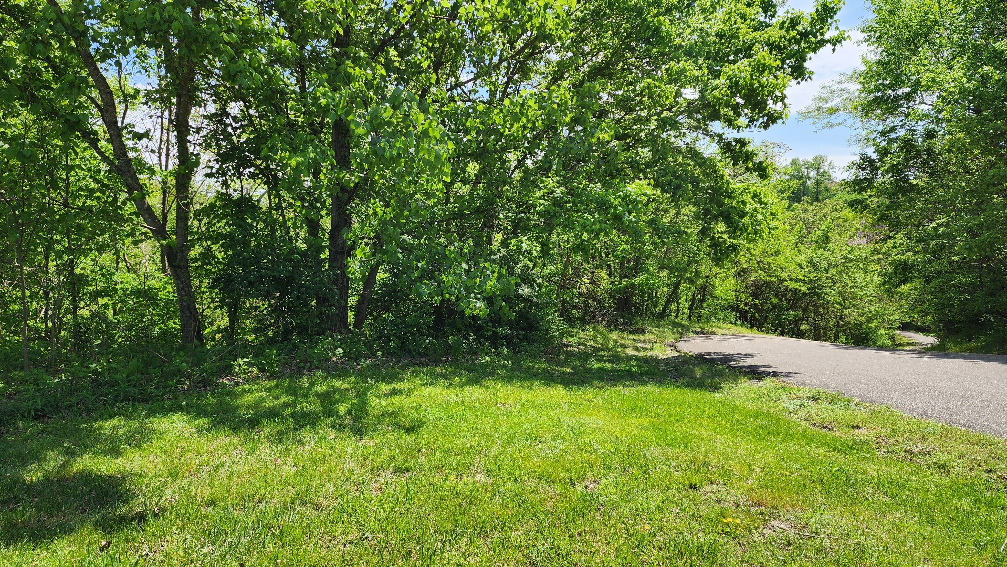 0 Rutherford Lane Smithville, TN 37166 - Photo 2 of 10 a view of yard