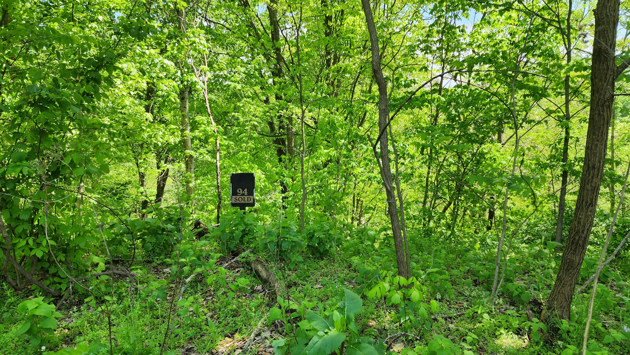 0 Rutherford Lane Smithville, TN 37166 - Photo 4 of 10 a view of a lush green forest