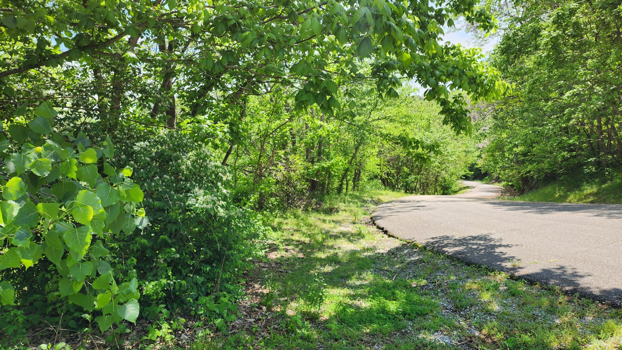 0 Rutherford Lane Smithville, TN 37166 - Photo 6 of 10 a view of outdoor space and trees all around