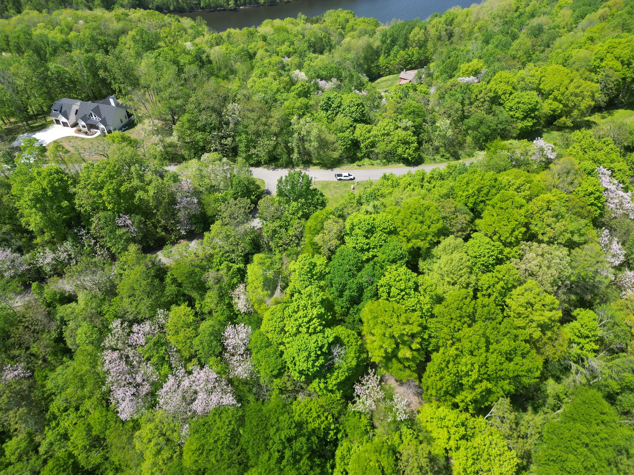 0 Rutherford Lane Smithville, TN 37166 - Photo 8 of 10 a view of a lush green forest with lots of trees
