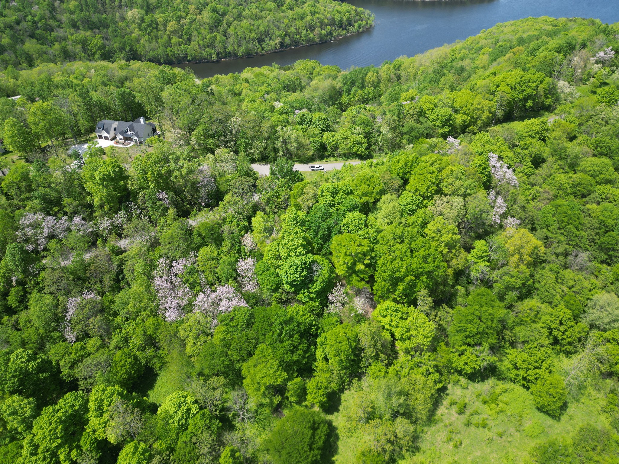 0 Rutherford Lane Smithville, TN 37166 - Photo 9 of 10 a view of a lush green forest