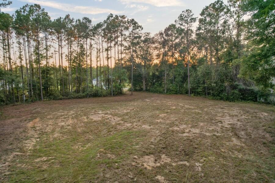 450 Bluff Road Jesup, GA 31545 - Photo 11 of 12