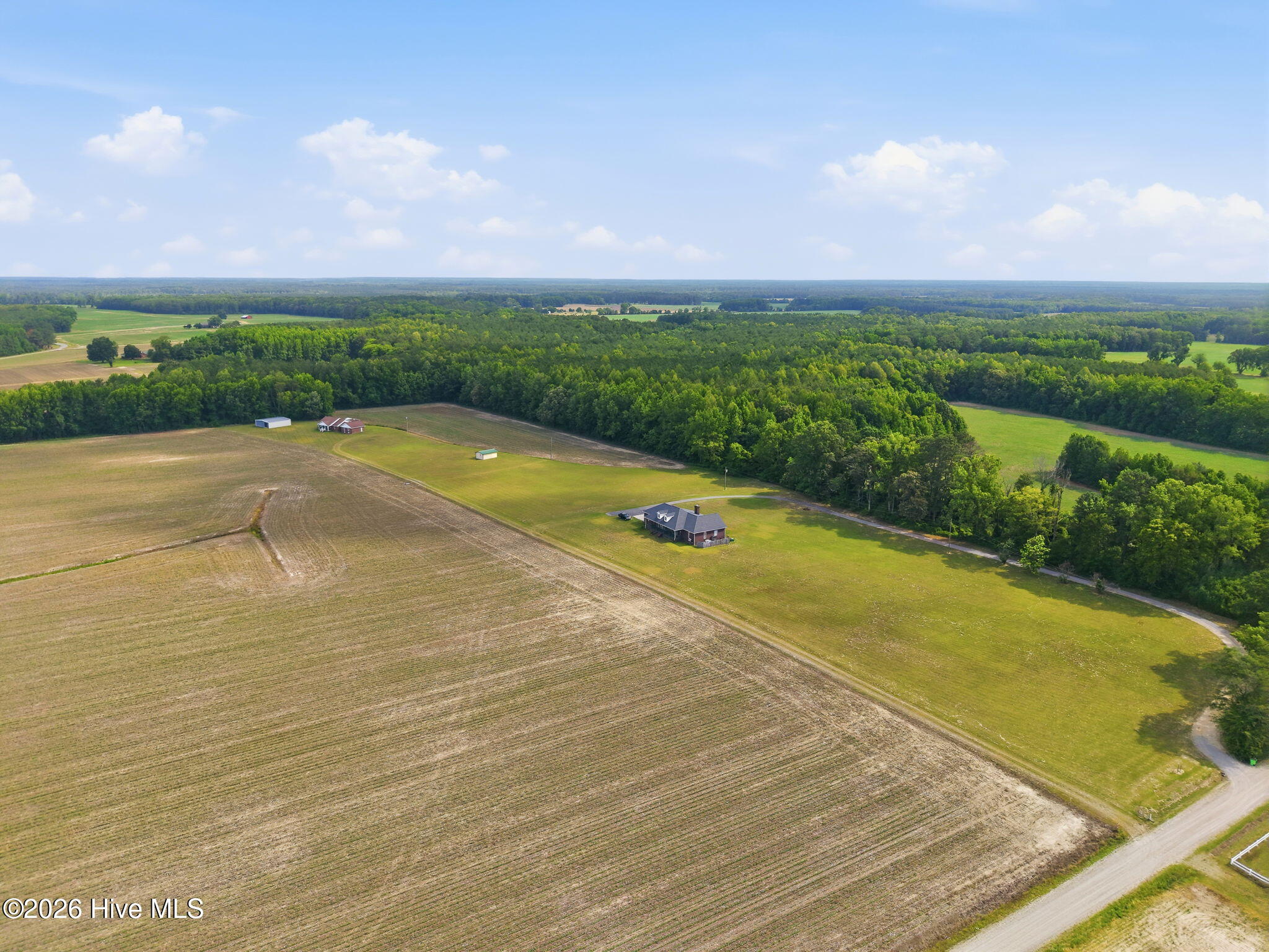 405 Pittman Town Road Scotland Neck, NC 27874 - Photo 12 of 59