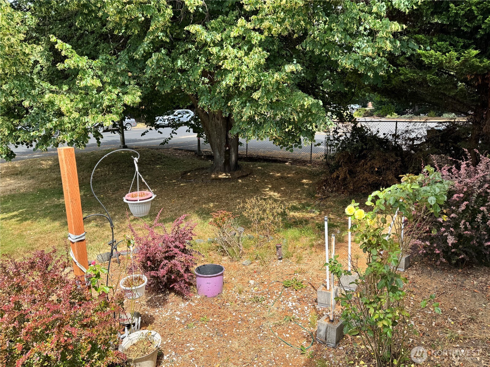 5600 Mt Solo Road, Unit 162 Longview, WA 98632 - Photo 3 of 20 a view of a wooden floor with a tree