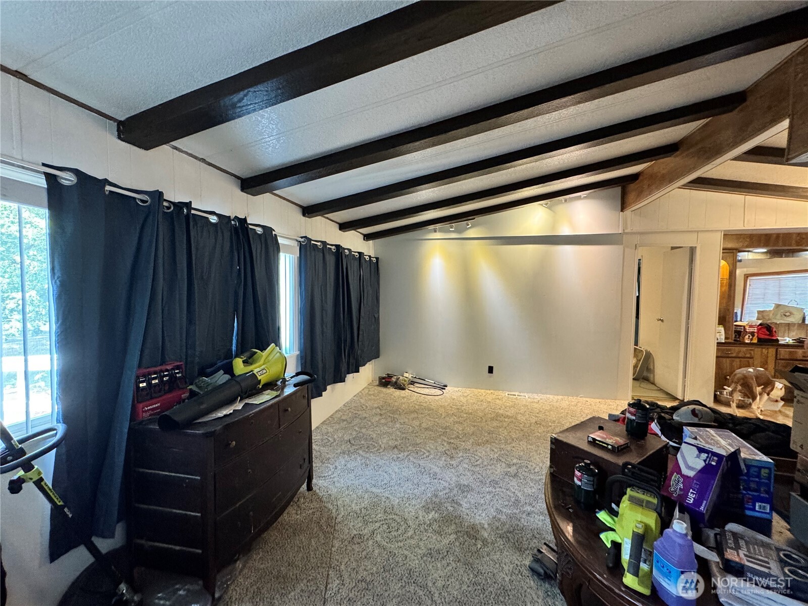 5600 Mt Solo Road, Unit 162 Longview, WA 98632 - Photo 5 of 20 a room with lots of furniture and a potted plant