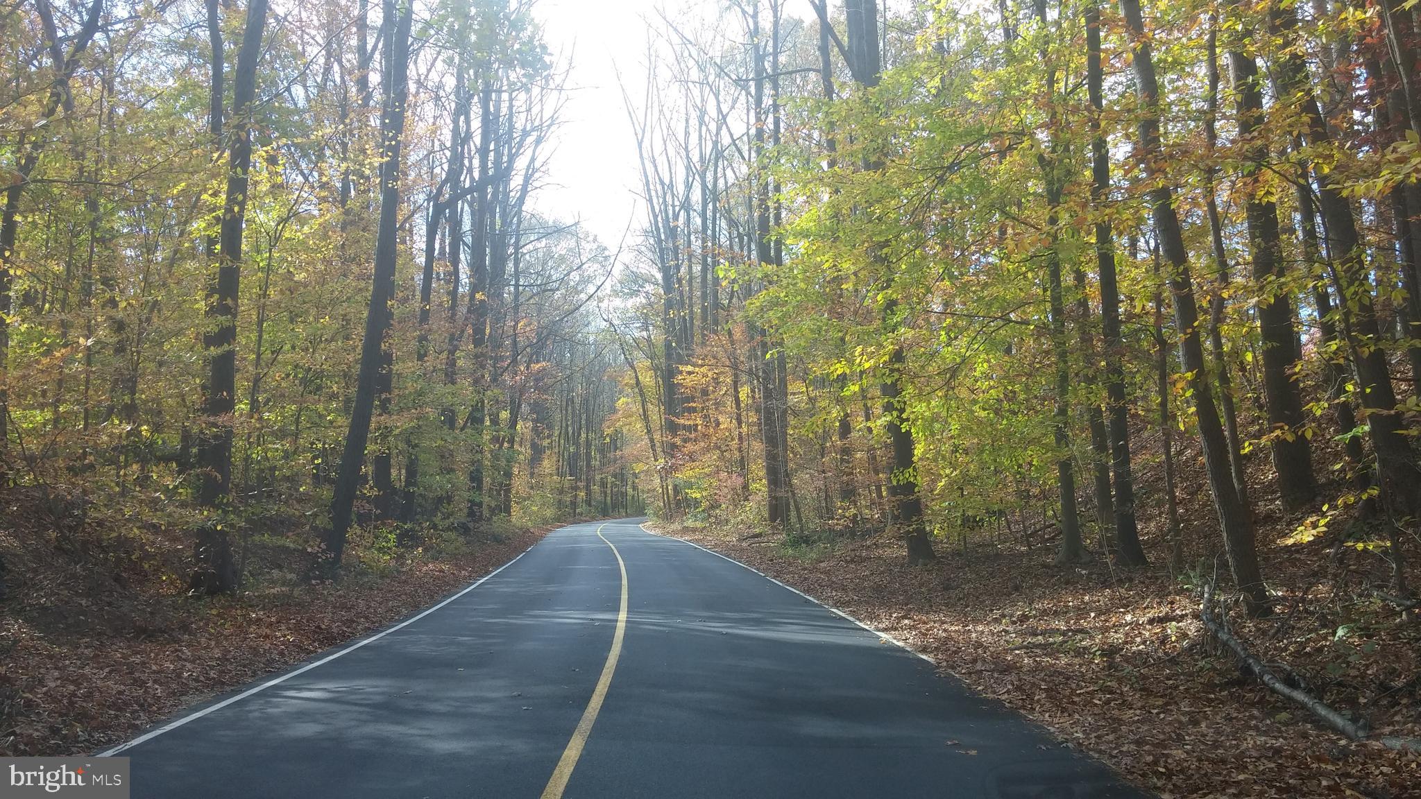 5937 Atteentee Road Springfield, VA 22150 - Photo 35 of 44