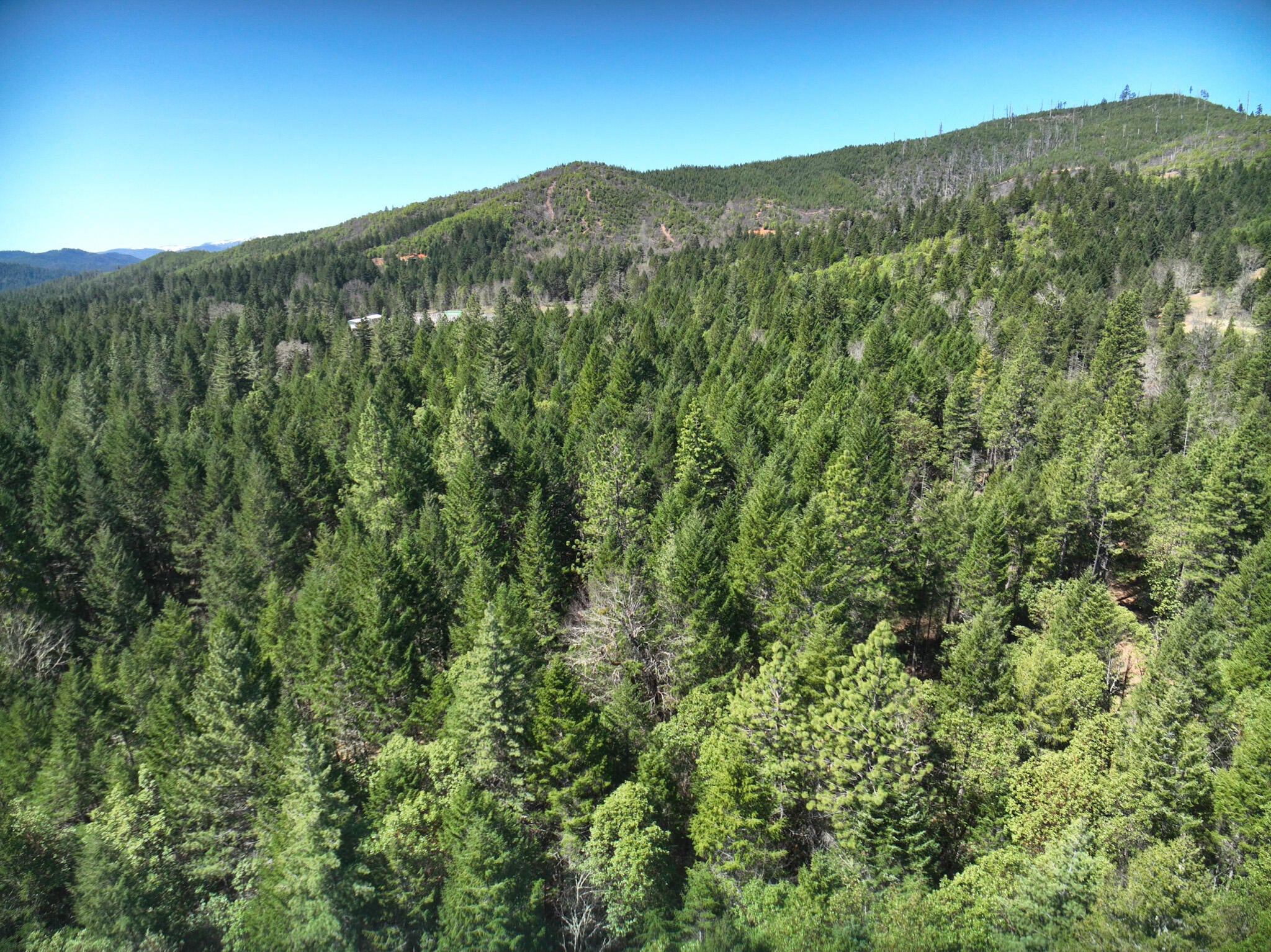 1000 Crooks Creek Road Selma, OR 97538 - Photo 15 of 28 15