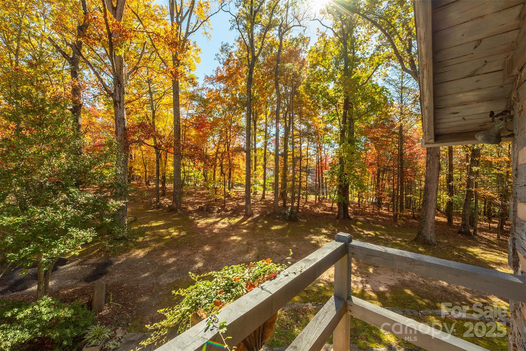 102 Weaver Mill Road Columbus, NC 28722 - Photo 36 of 43