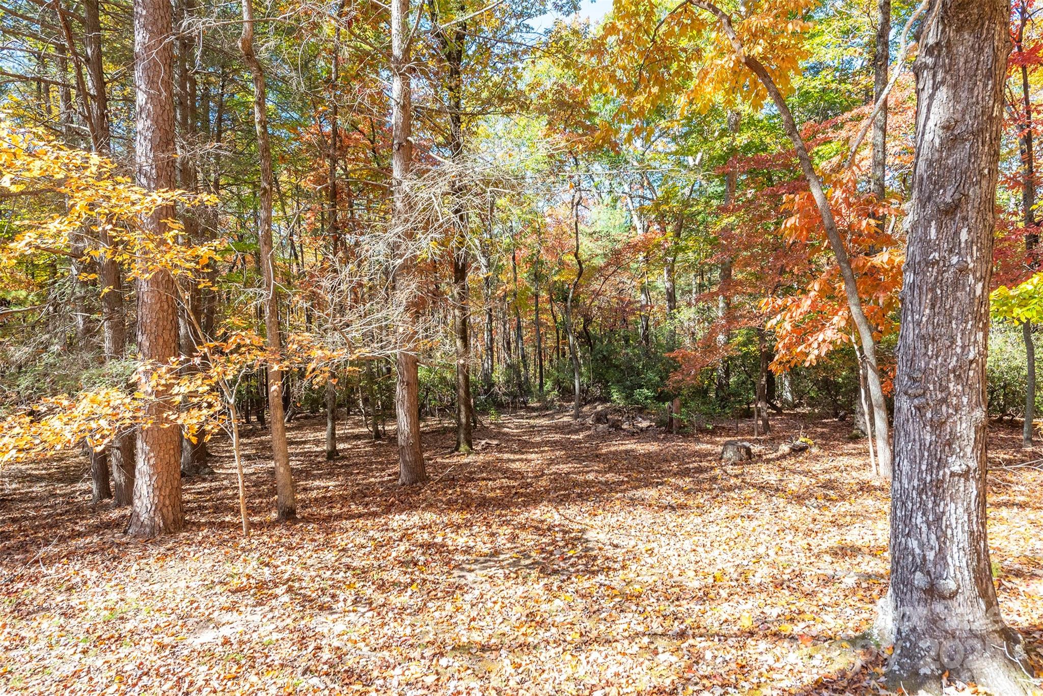 102 Weaver Mill Road Columbus, NC 28722 - Photo 40 of 43