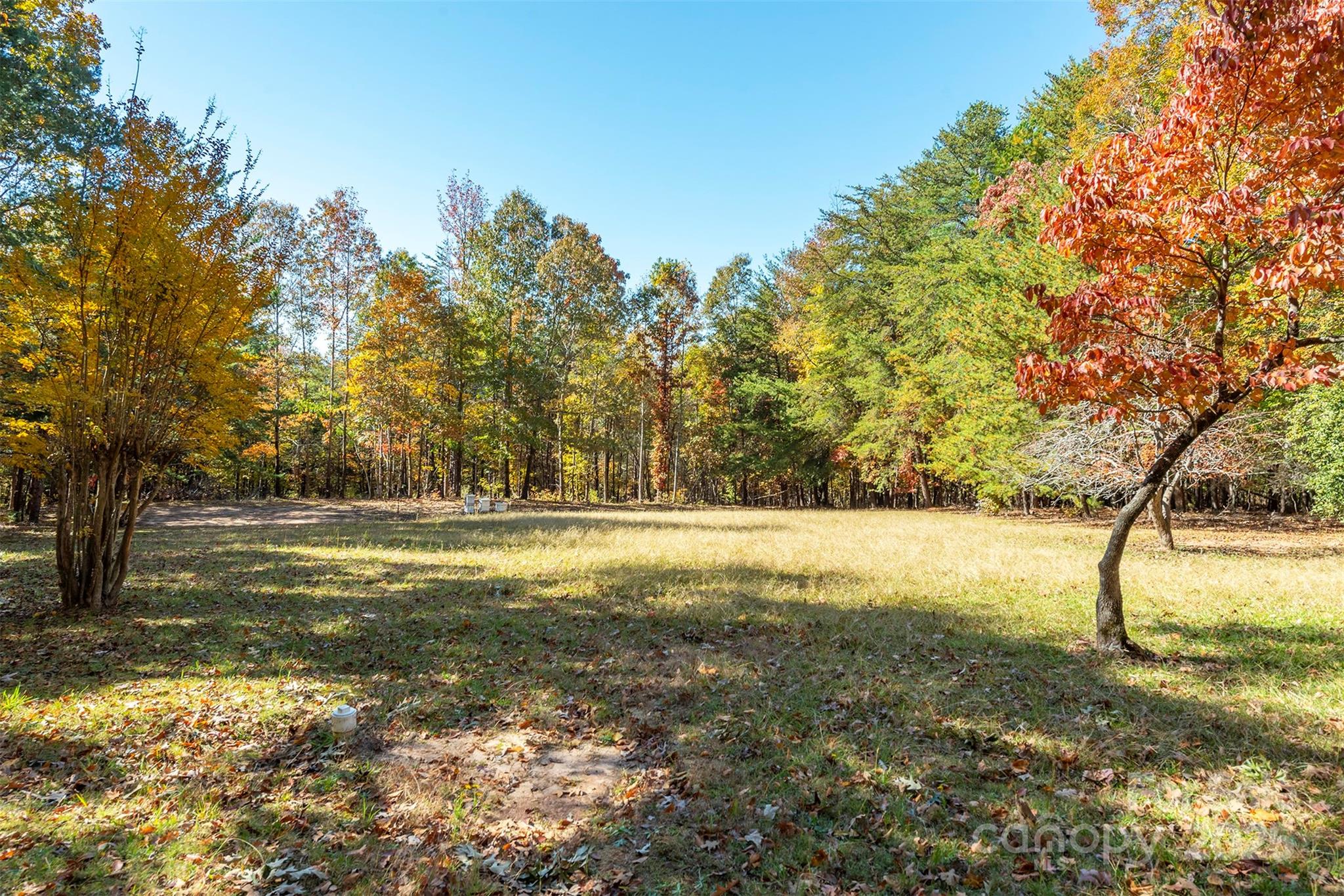 102 Weaver Mill Road Columbus, NC 28722 - Photo 41 of 43