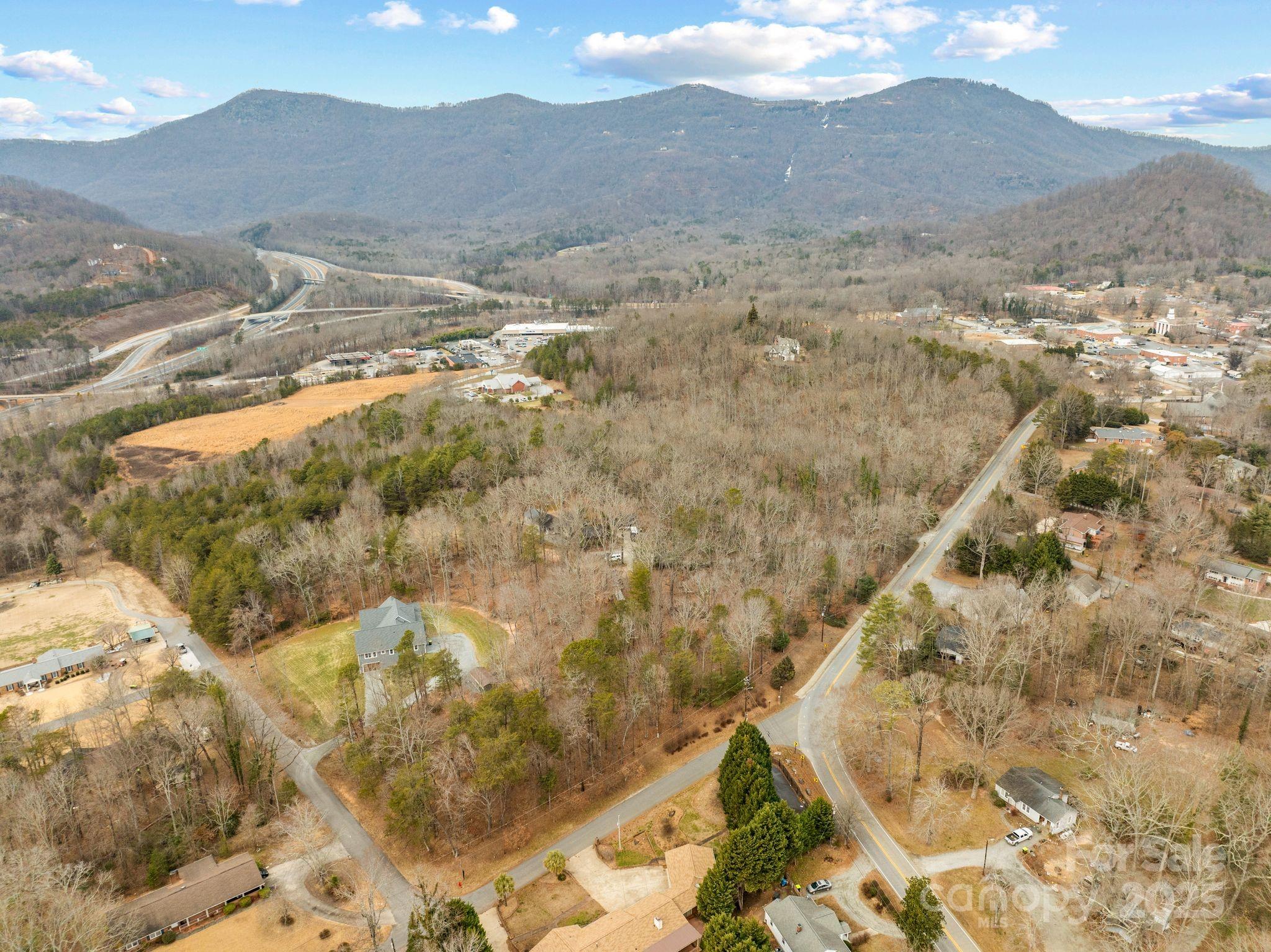 102 Weaver Mill Road Columbus, NC 28722 - Photo 42 of 43