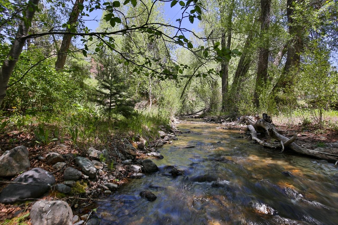 443 Cabresto Creek Road Questa, NM 87556 - Photo 35 of 48