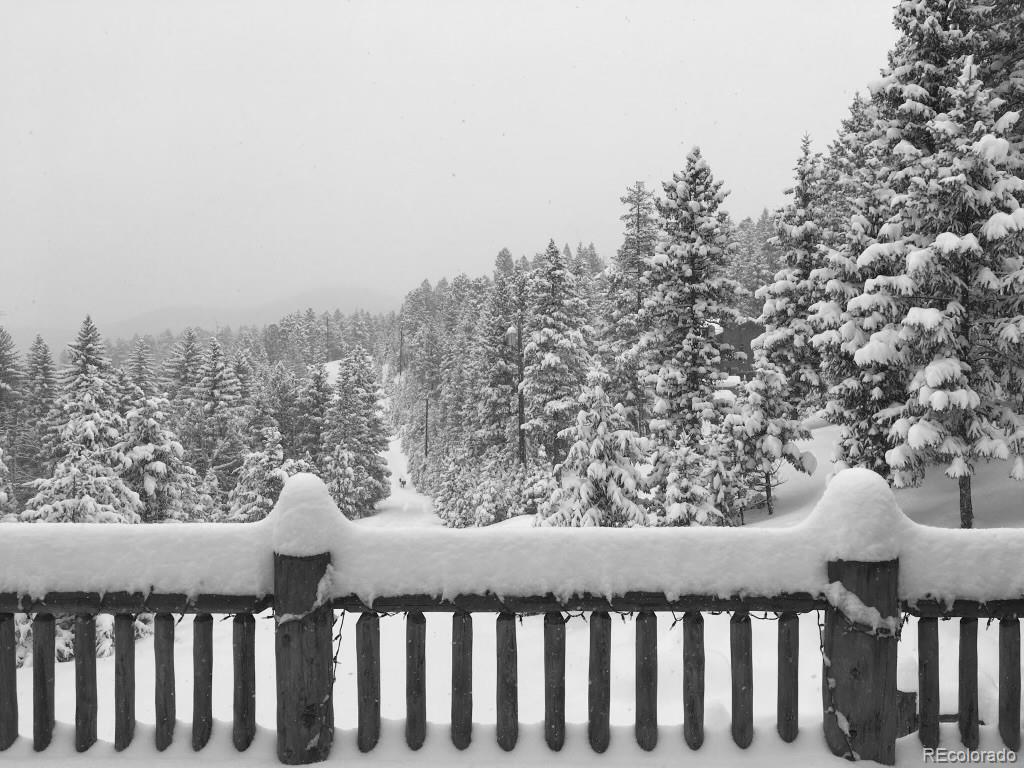 6399 South Elaine Road Evergreen, CO 80439 - Photo 39 of 45 Gallery Image 39
