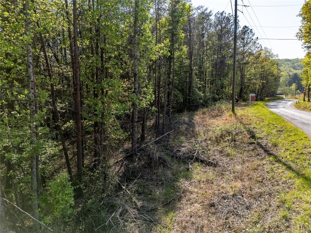 0 Talc Mine Road Jasper, GA 30143 - Photo 5 of 30 a view of a yard with trees