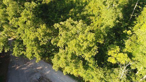 Greasy Hollow Road Speedwell, TN 37870 - Photo 3 of 5 20191024005525326279000000-o