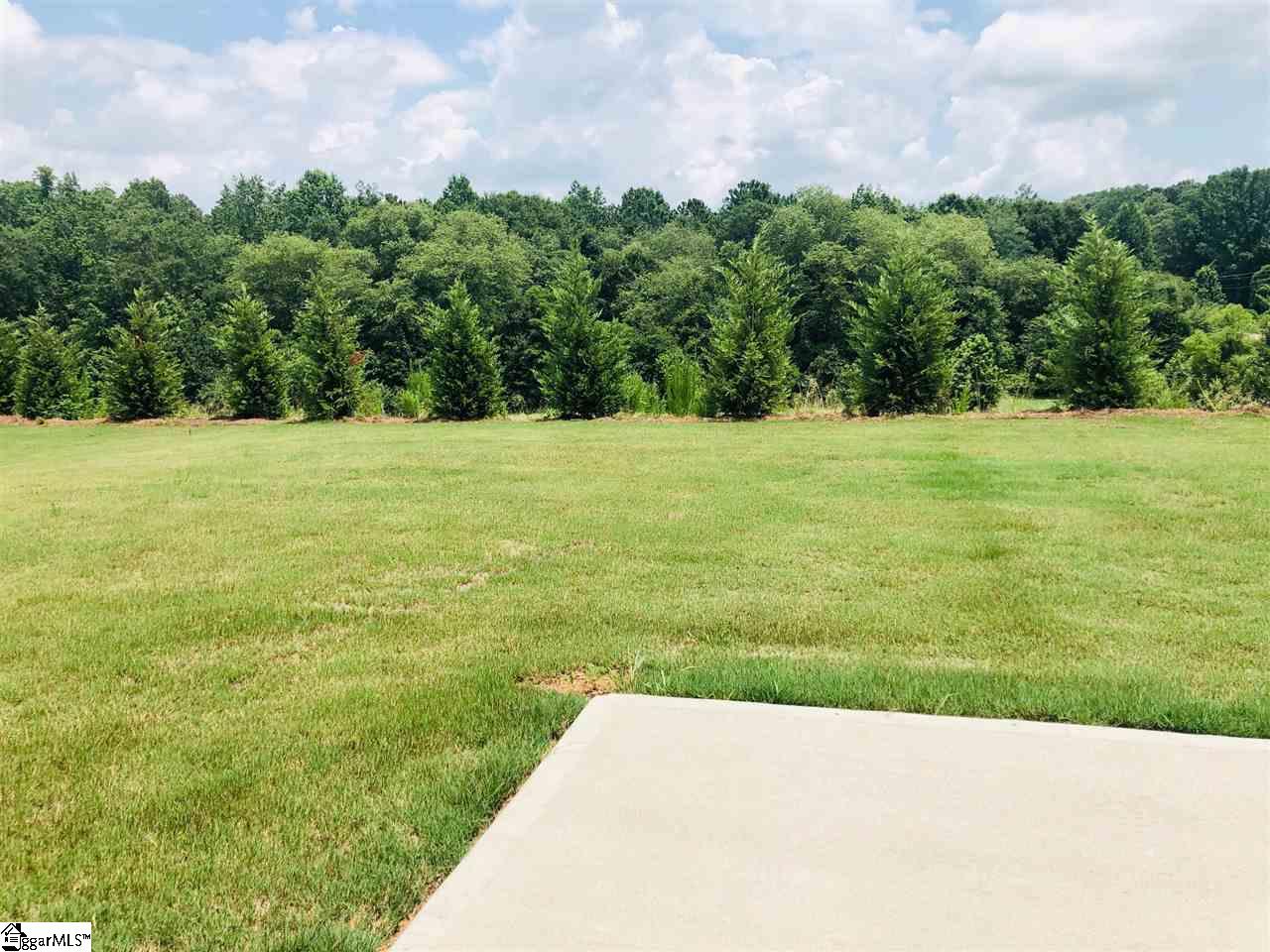 508 Rome Court, Unit HOMESITE 43 Greer, SC 29651 - Photo 13 of 20 Gallery Image 13