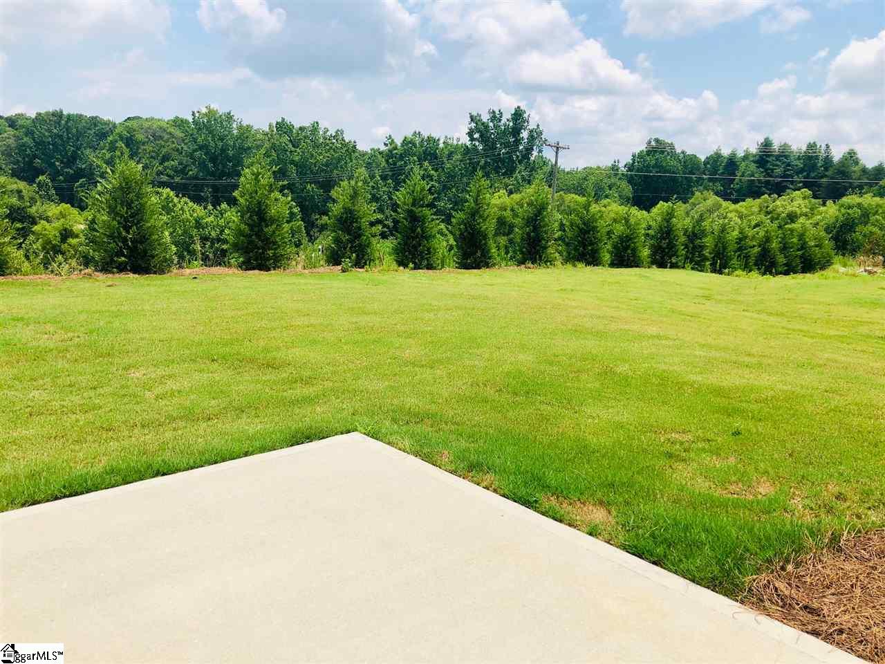 508 Rome Court, Unit HOMESITE 43 Greer, SC 29651 - Photo 14 of 20 Gallery Image 14