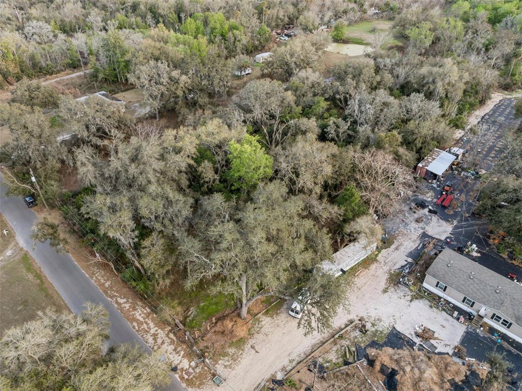11119 Bessie Dix Road Seffner, FL 33584 - Photo 11 of 12