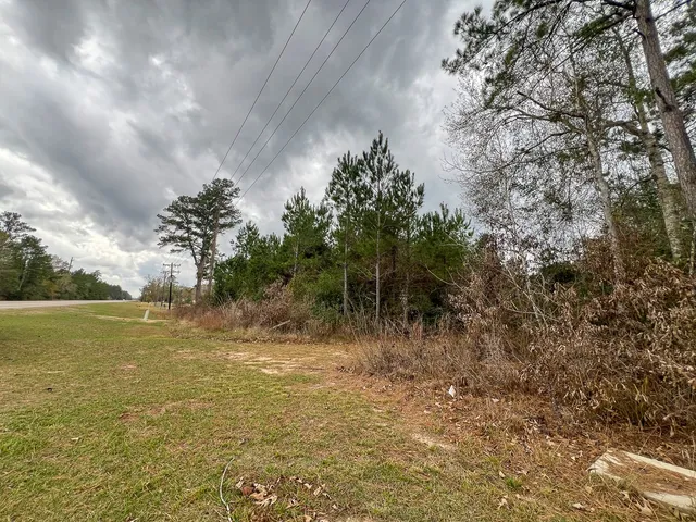 a view of a yard with an trees