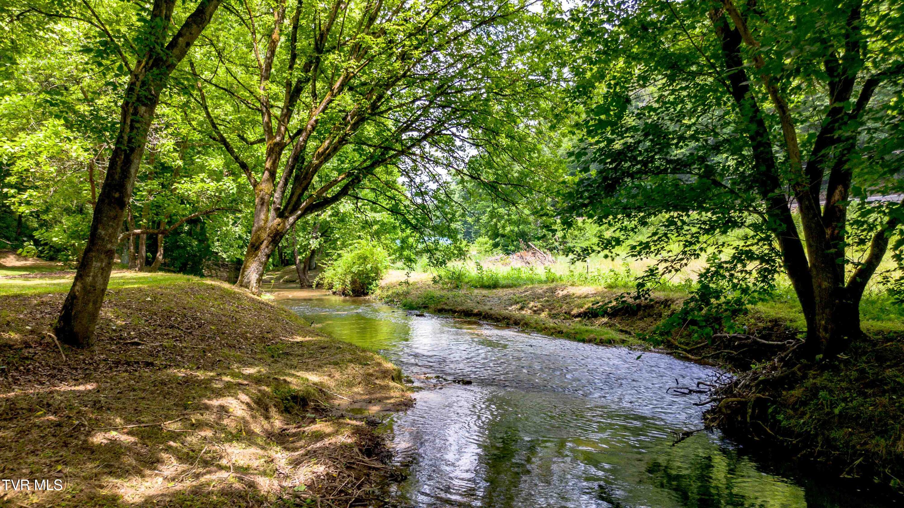 120 Bear Hollow Road Bristol, TN 37620 - Photo 4 of 43 Creek