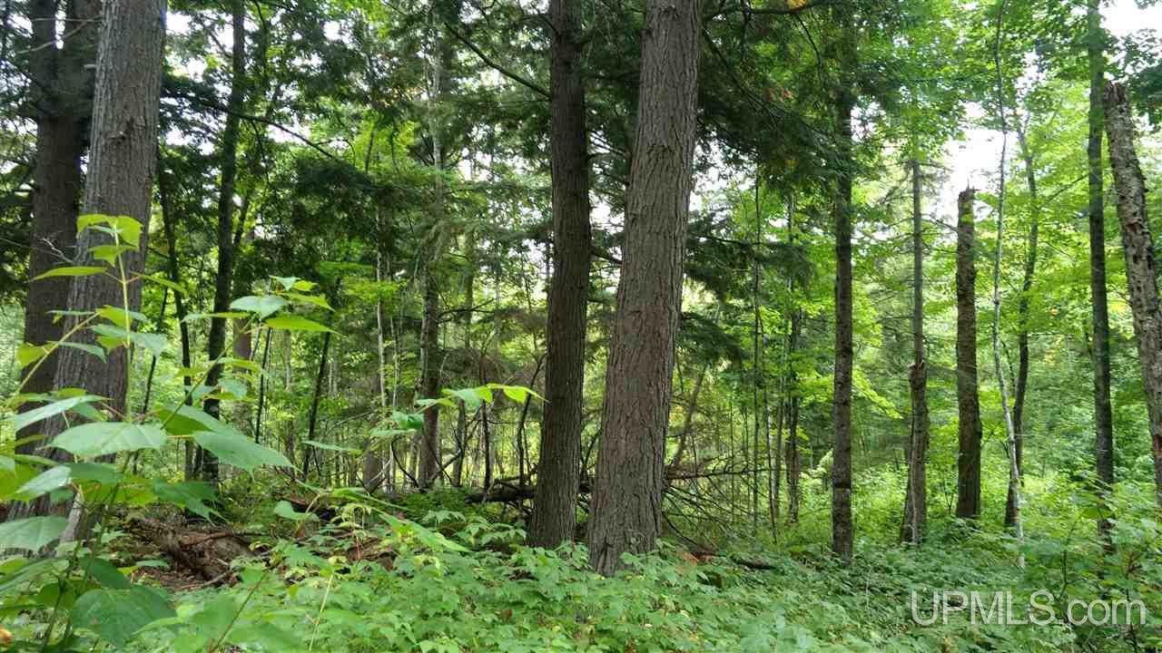 Tbd Tbd Big Bay Road Skanee, MI 49962 - Photo 44 of 50