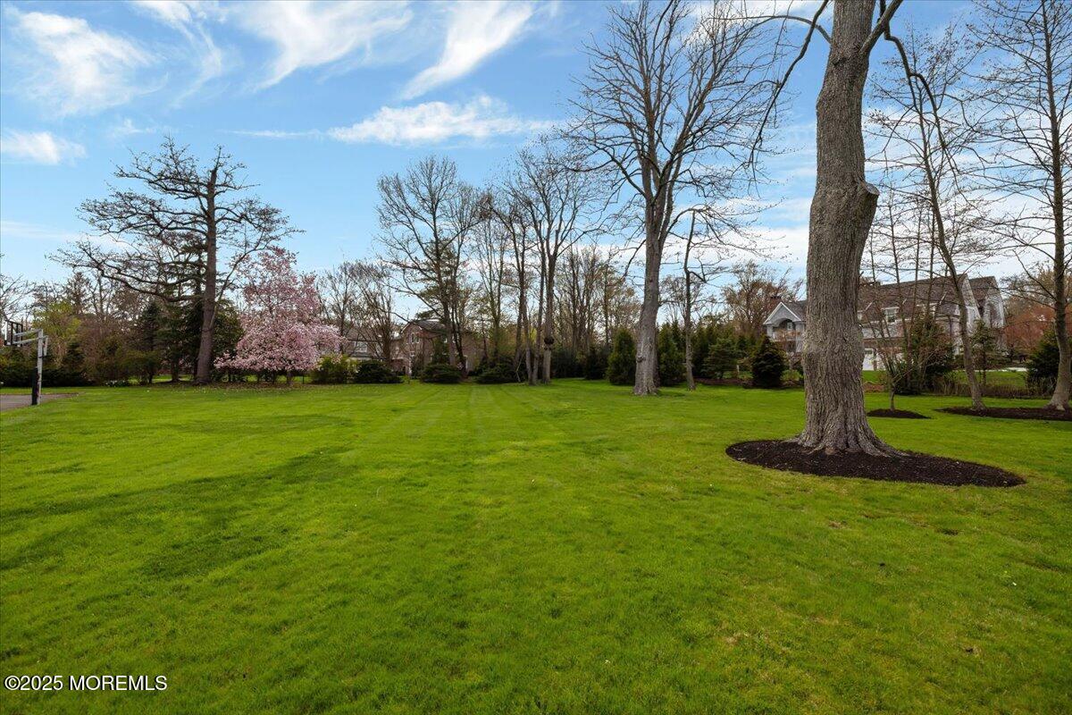 4 Broadmoor Drive Rumson, NJ 07760 - Photo 43 of 52 a view of a garden with trees