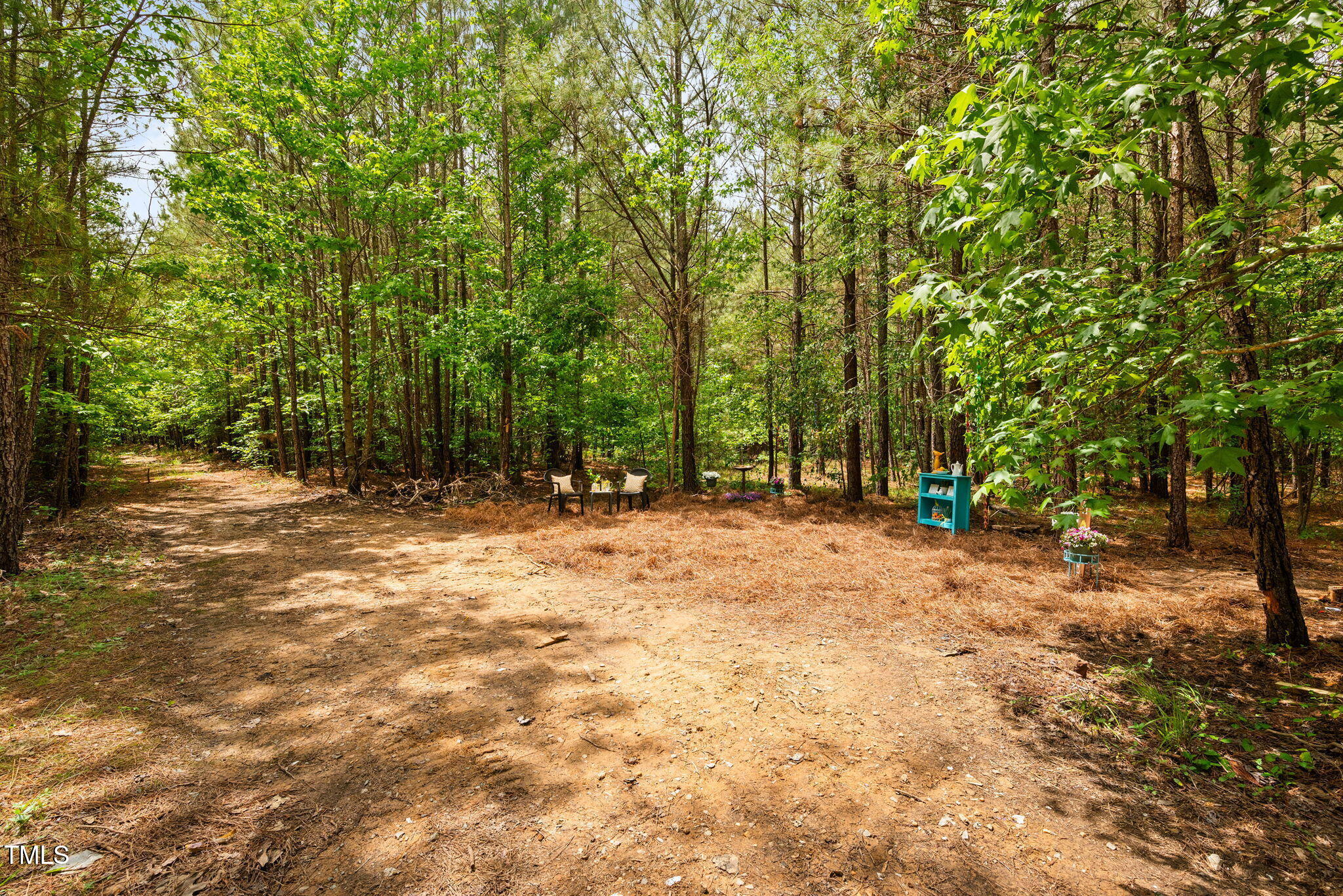 0 South Plank (track 2) Road Sanford, NC 27330 - Photo 11 of 38 a view of outdoor space with trees
