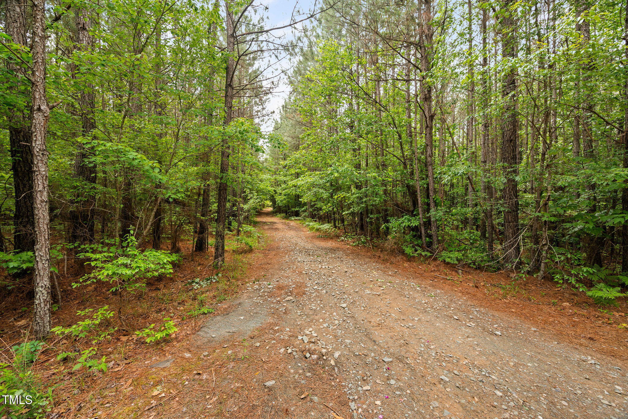 0 South Plank (track 2) Road Sanford, NC 27330 - Photo 14 of 38 a view of a forest with trees