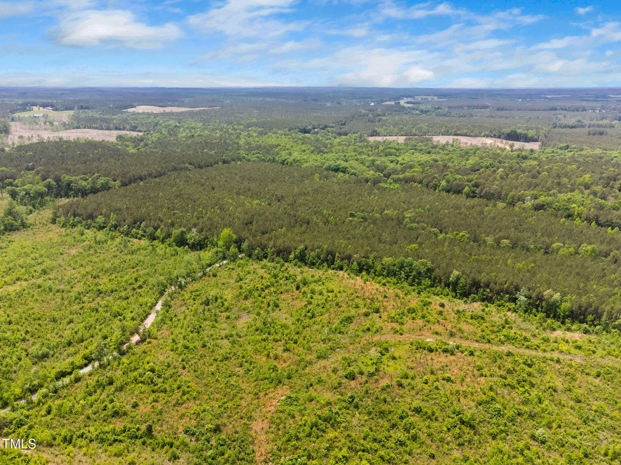 0 South Plank (track 2) Road Sanford, NC 27330 - Photo 18 of 38 a view of lake view and mountain