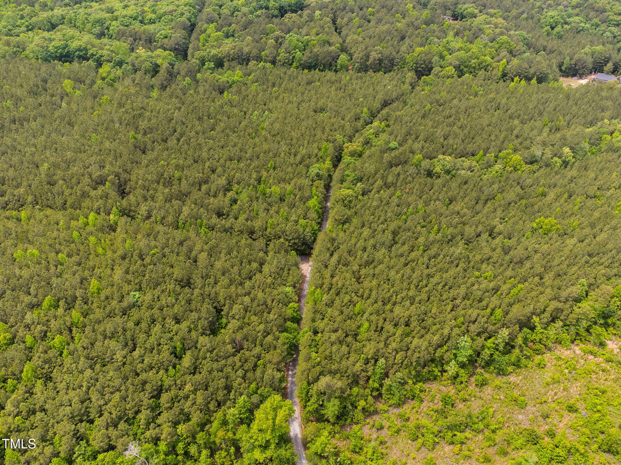0 South Plank (track 2) Road Sanford, NC 27330 - Photo 23 of 38 a view of a big yard with plants and large trees