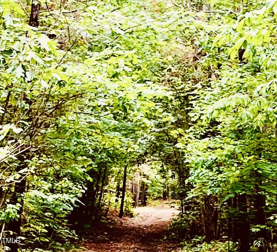 0 South Plank (track 2) Road Sanford, NC 27330 - Photo 33 of 38 a view of a tree