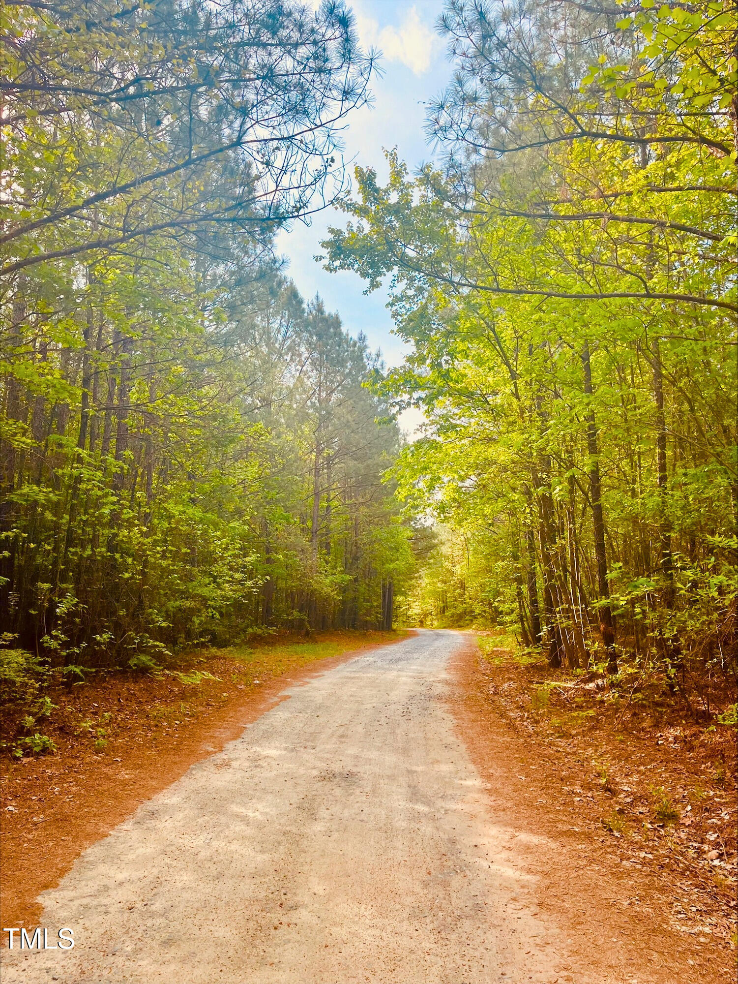 0 South Plank (track 2) Road Sanford, NC 27330 - Photo 35 of 38