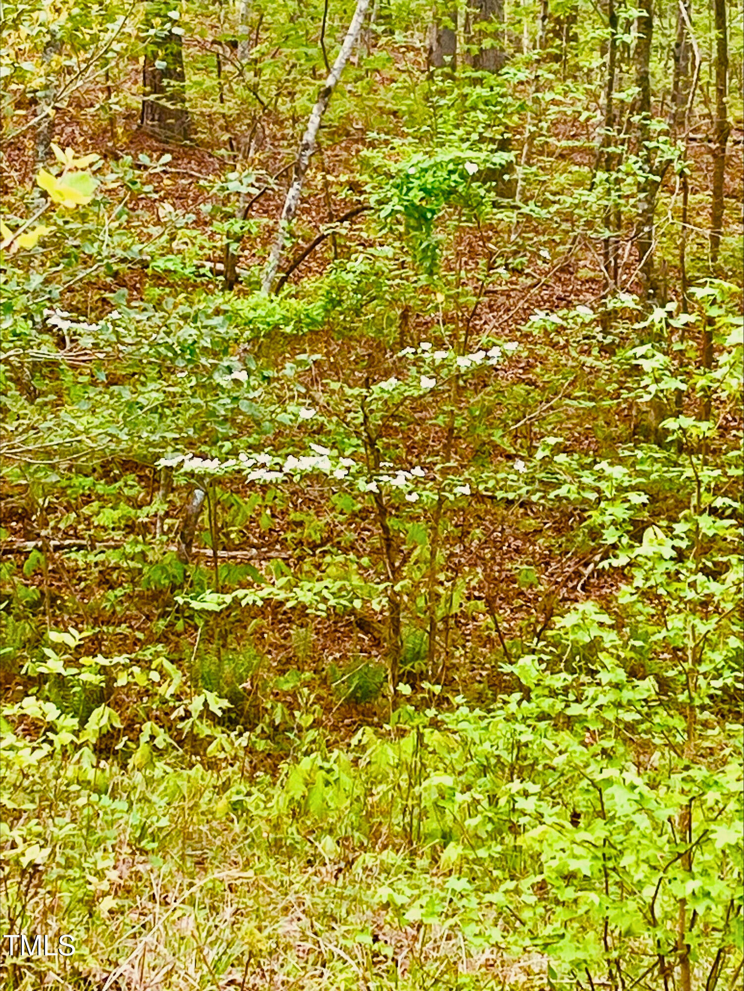 0 South Plank (track 2) Road Sanford, NC 27330 - Photo 36 of 38