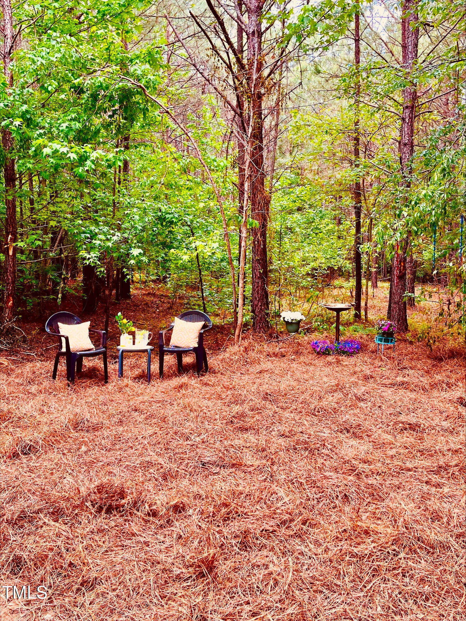 0 South Plank (track 2) Road Sanford, NC 27330 - Photo 38 of 38 a view of a backyard with lawn chairs and a large tree