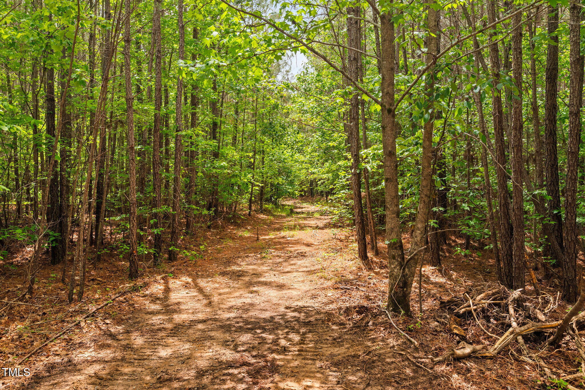0 South Plank (track 2) Road Sanford, NC 27330 - Photo 4 of 38 a view of a yard with plants and trees