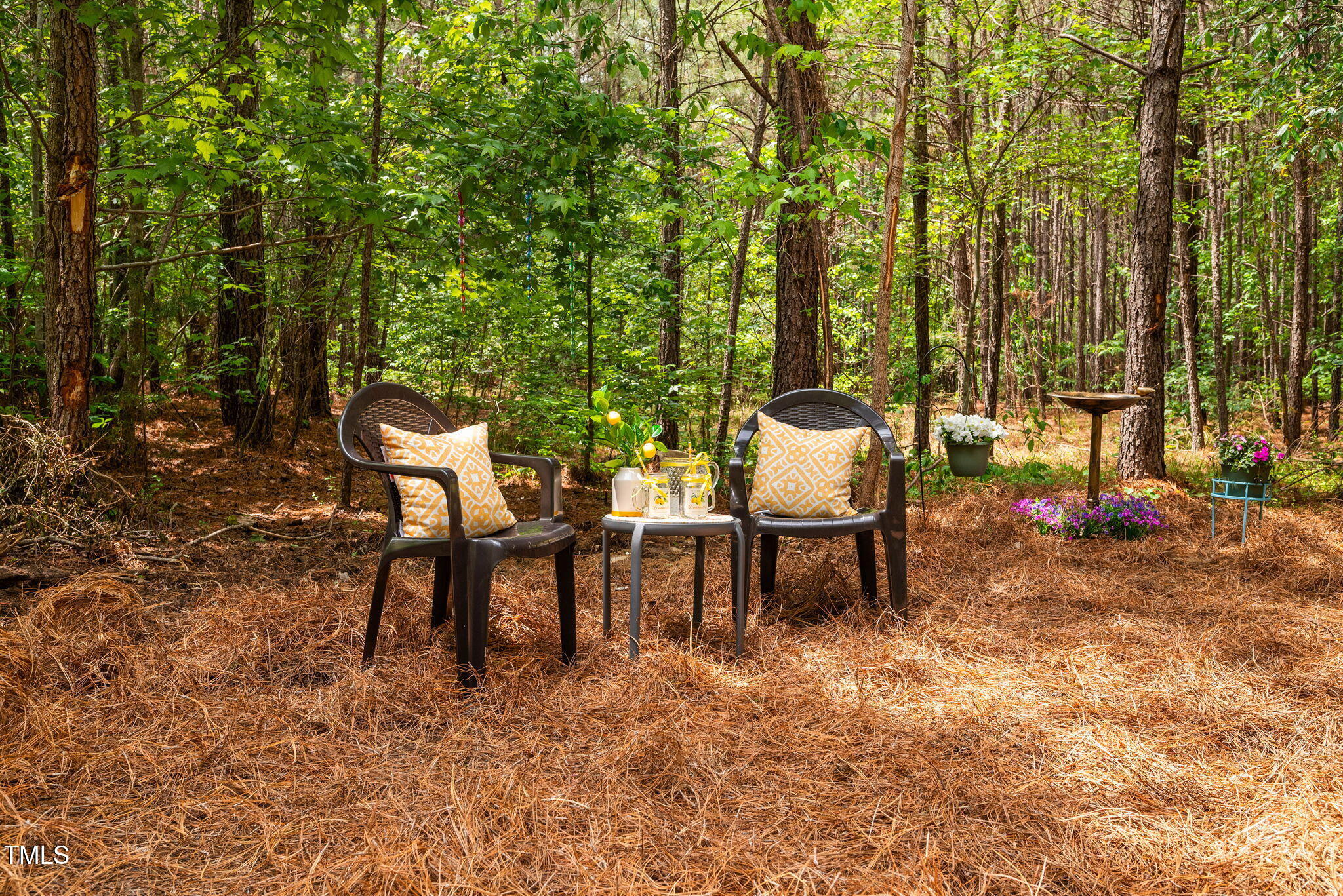 0 South Plank (track 2) Road Sanford, NC 27330 - Photo 5 of 38 a view of a chairs and table in the backyard