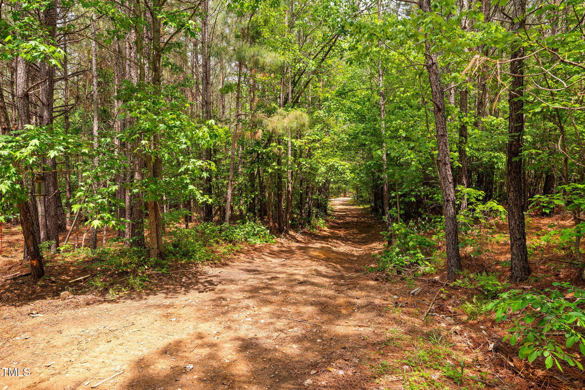 0 South Plank (track 2) Road Sanford, NC 27330 - Photo 6 of 38 a pathway of a yard