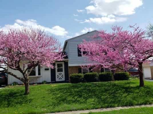 8909 Frontenac Road Indianapolis, IN 46226 - Photo 1 of 7
