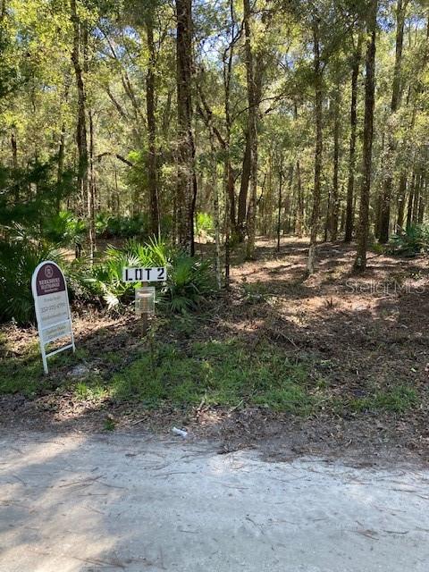 2 Southwest 170th Street Archer, FL 32618 - Photo 5 of 10 a backyard of a house with lots of green space and fountain