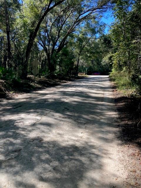 2 Southwest 170th Street Archer, FL 32618 - Photo 8 of 10 a view of backyard with green space