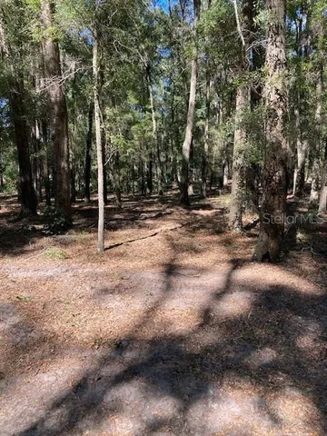a view of outdoor space with trees