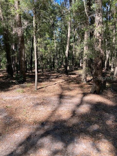 2 Southwest 170th Street Archer, FL 32618 - Photo 9 of 10 a view of outdoor space with trees