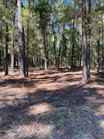 a view of road with trees