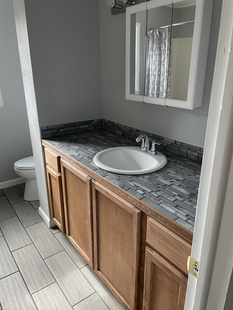 746 Mt Mission Road Metropolis, IL 62960 - Photo 11 of 24 a bathroom with a granite countertop sink and a toilet