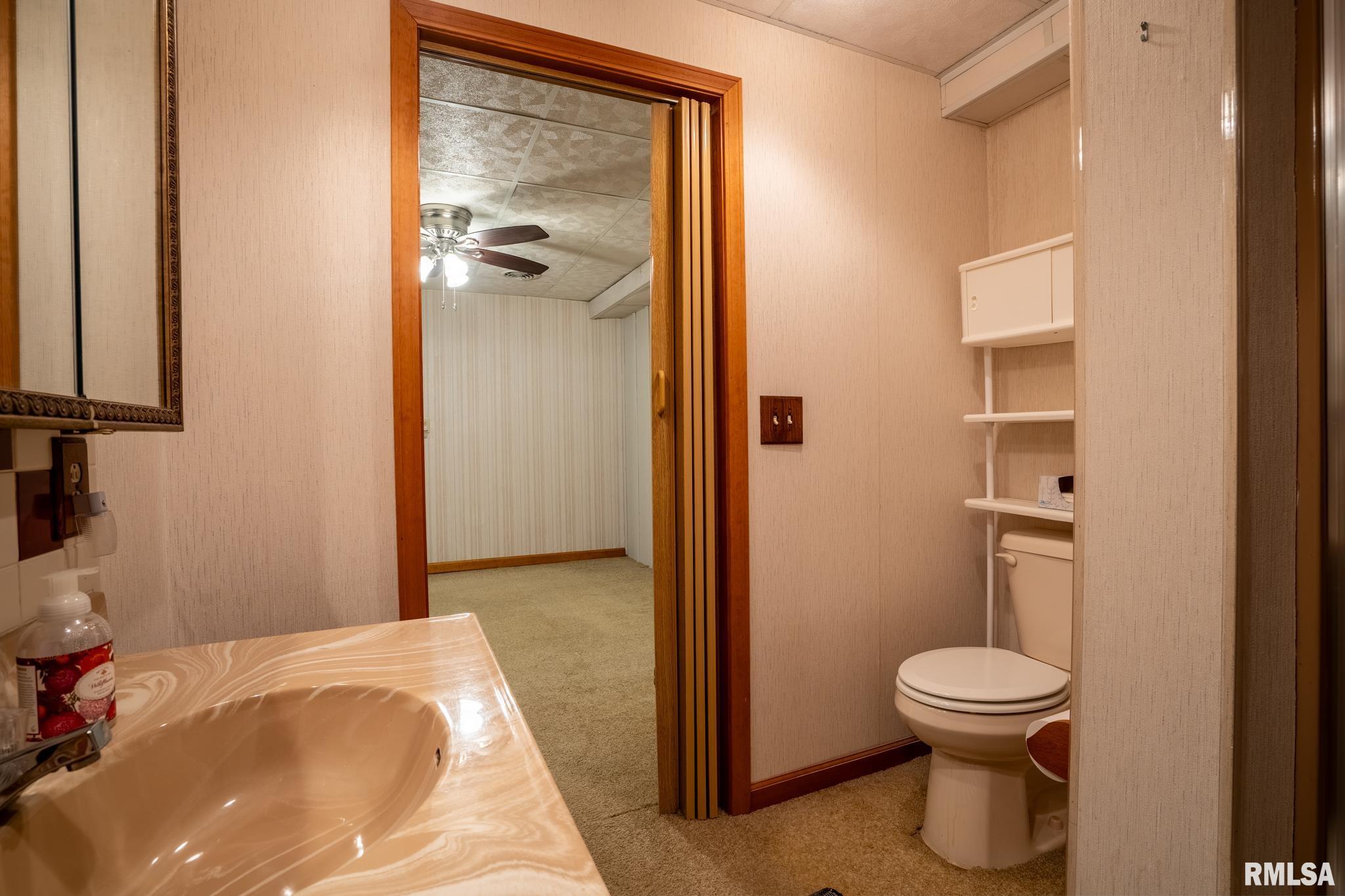 40 Janeal Court Goreville, IL 62939 - Photo 37 of 69