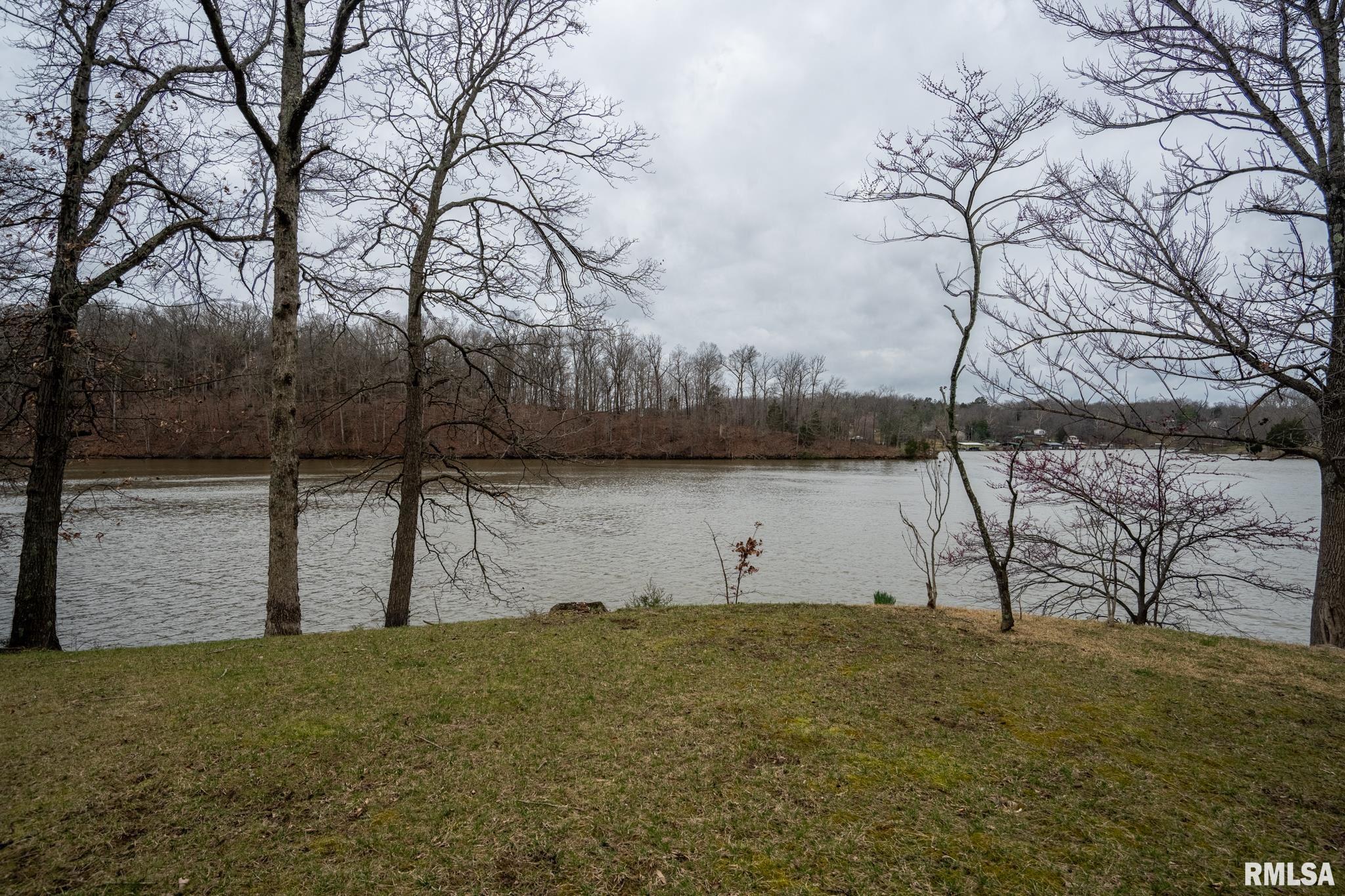 40 Janeal Court Goreville, IL 62939 - Photo 55 of 69