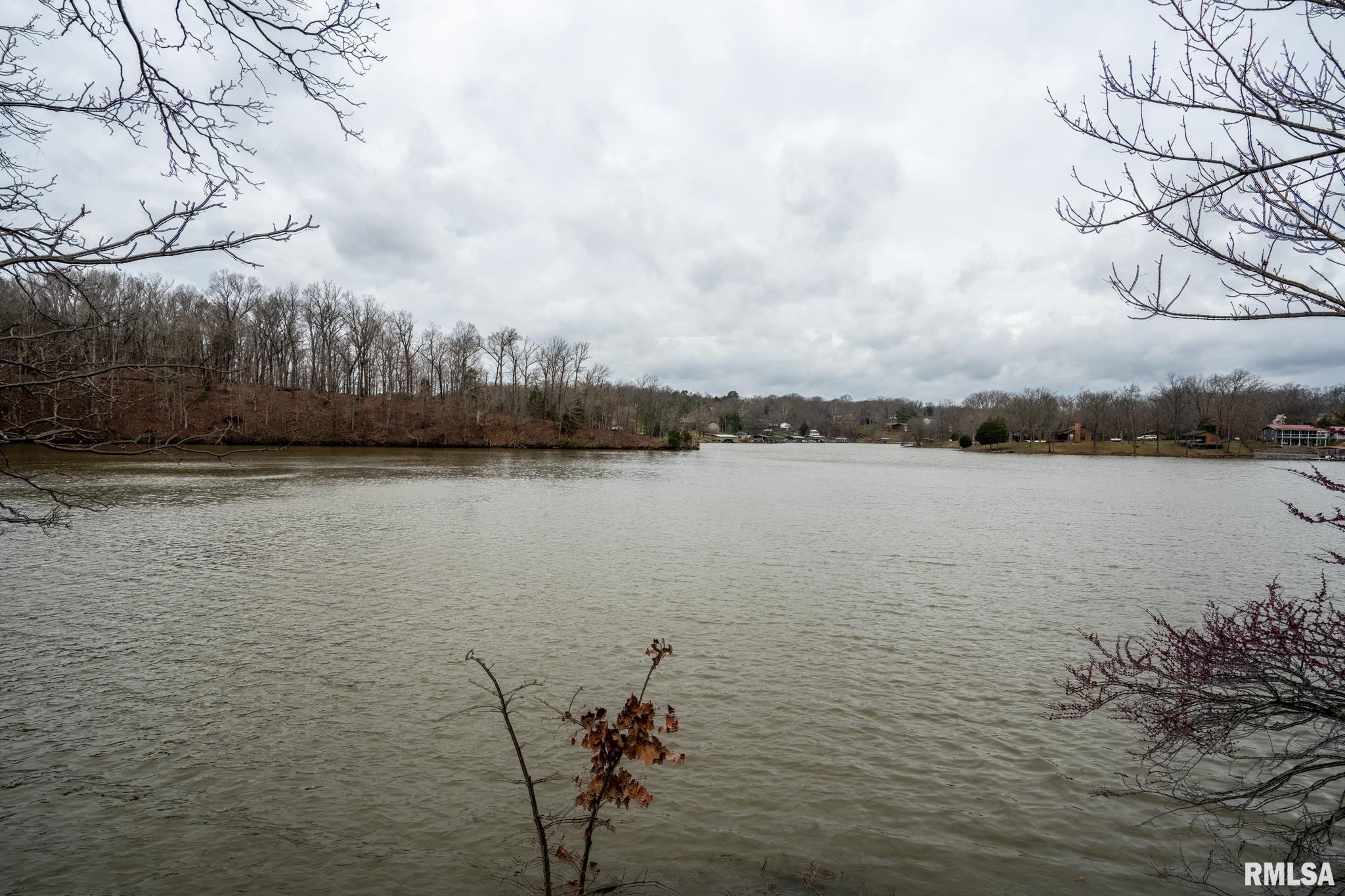 40 Janeal Court Goreville, IL 62939 - Photo 57 of 69