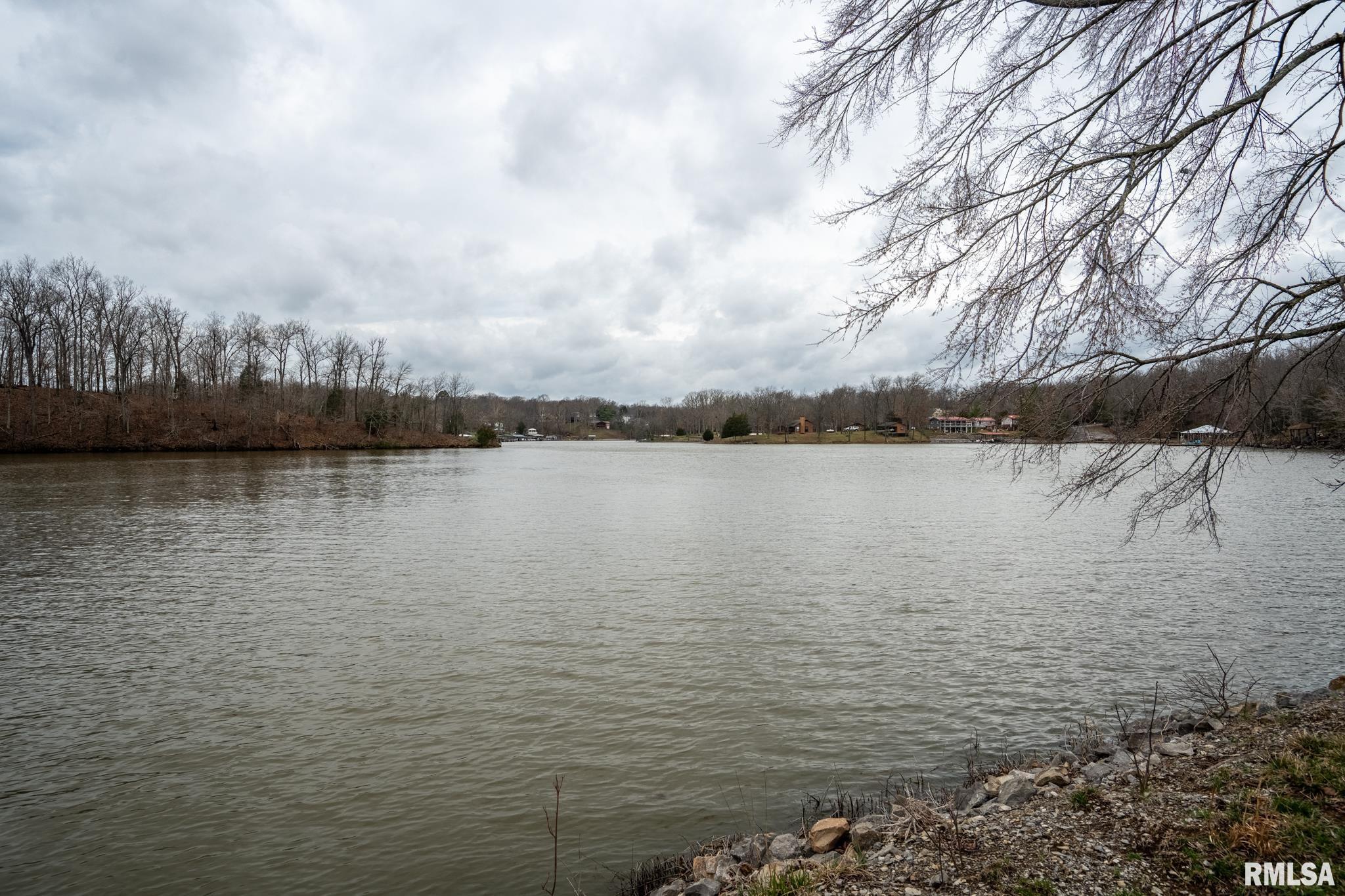 40 Janeal Court Goreville, IL 62939 - Photo 60 of 69