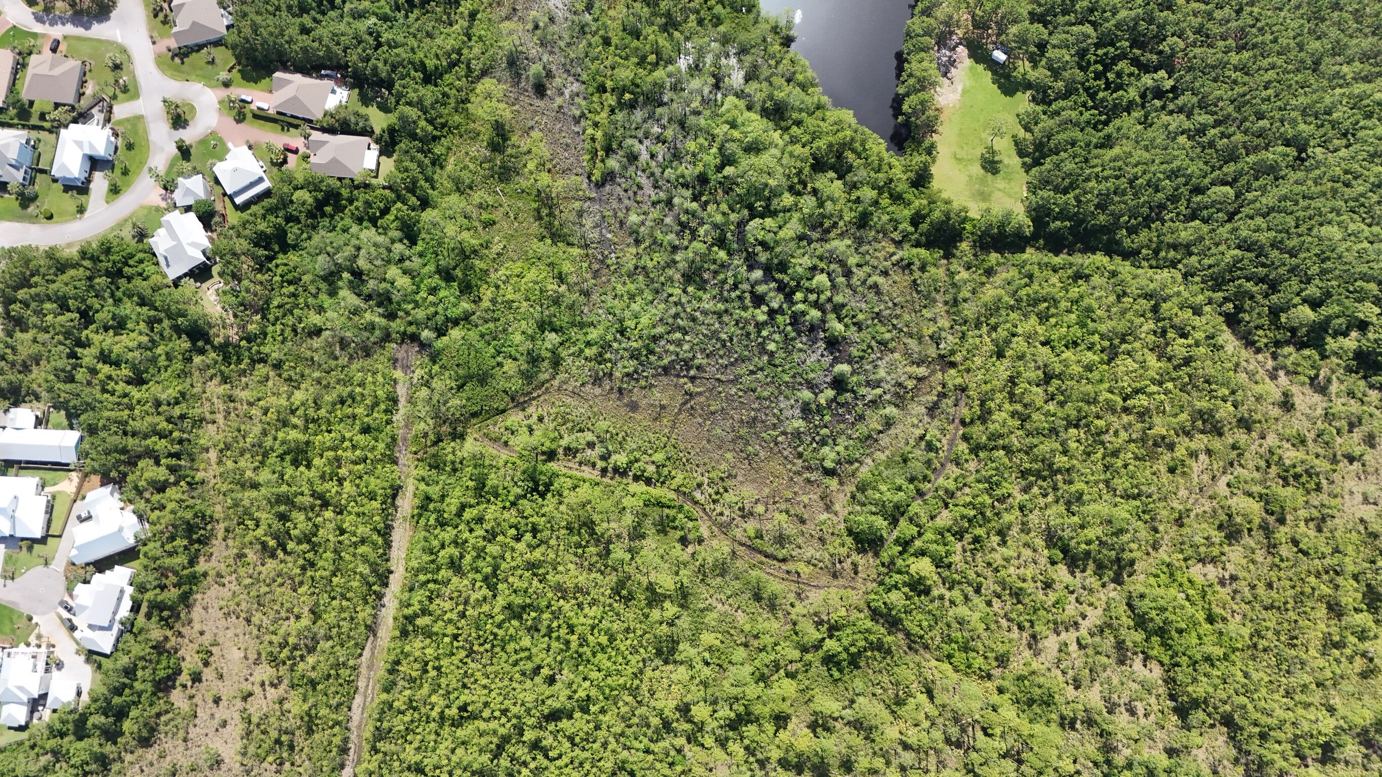 12-13 Calm Gulf Drive Santa Rosa Beach, FL 32459 - Photo 3 of 9 a view of a plants and yard